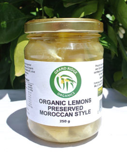 lemons-preserved-morrocan-style