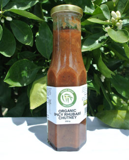 spicy-rhubard-sauce